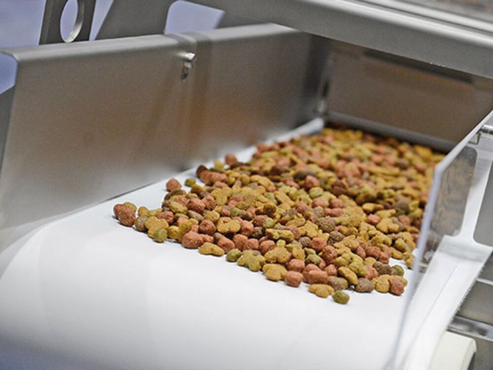 Kibble being extruded from factory